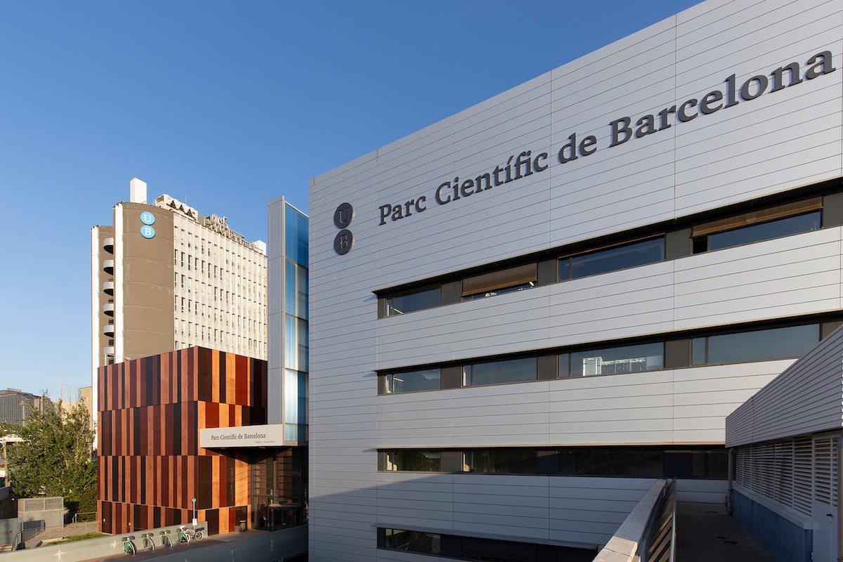 Nuestro activo más 🔝